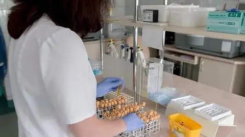 Tak wielu zakażeń w ciągu doby jeszcze na Ukrainie nie było. Rząd przedłuża "adaptacyjną kwarantannę" 