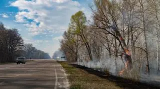 Palące się drzewa przy wjeździe do Czarnobyla