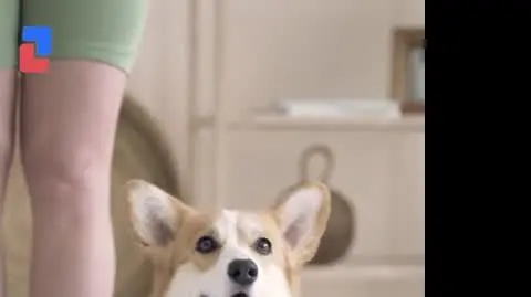 Test na właściciela psa