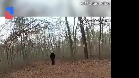 Czterolatek zaginął w lesie