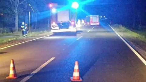 Motocyklista zderzył się z łosiem, zginął na miejscu