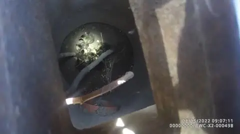 Szczecinek. Kaczuszki w potrzasku. Uratowali je strażnicy miejscy