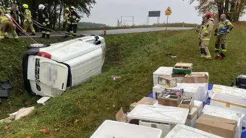 Auto dostawcze załadowane zwierzętami wypadło z drogi