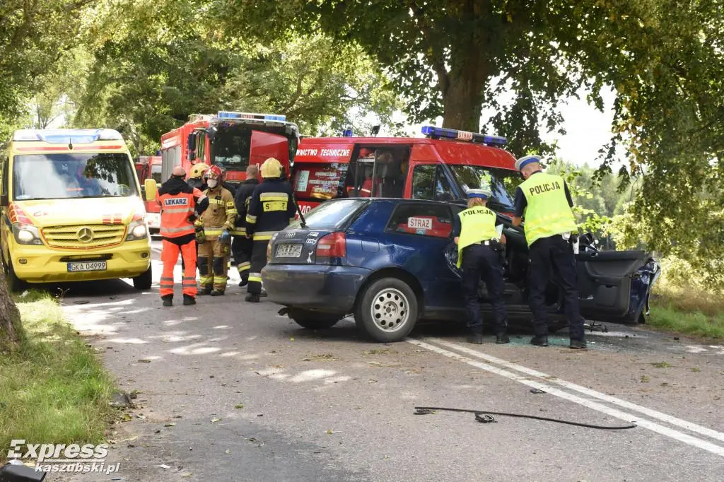 Audi prowadził 18-letni kierowca
