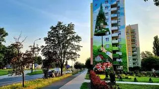 Konkurs na jego zaprojektowanie i realizację ogłosił Nadleśnictwo Bydgoszcz. Powstały obraz ma niespełna 12 metrów szerokości i ponad 34 m wysokości