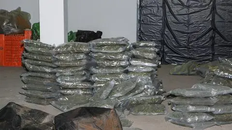 Przerzucili dwie tony narkotyków do Polski