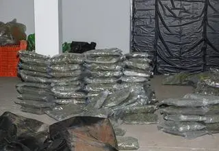 Niemal tona marihuany w przęśle mostu. "Zeszyt" stanie przed sądem