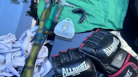 Starcie pseudokibiców udaremnione przez policję