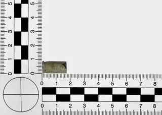 Łuski są dowodami zbrodni