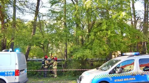 Akcja służb przy ul. Rybackiej w Ustce