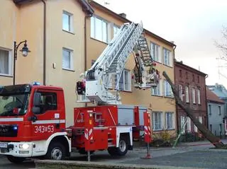 Drzewo uszkodziło fasadę budynku
