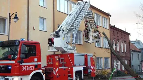 Drzewo spadło na budynek usteckiej plebanii