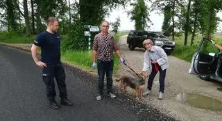 Bohaterscy policjanci z psem Filipem i jego panią