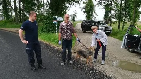 Zaginął w lesie, był z nim jego wierny pies. Dzięki Filipowi udało się po trzech dniach znaleźć staruszka