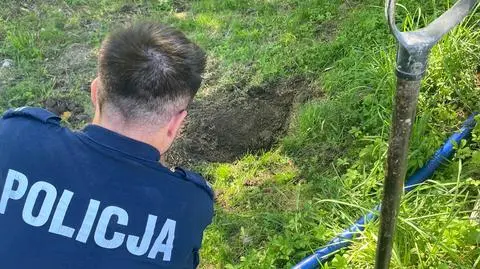 Zakopała w ogrodzie dwumiesięcznego kociaka. Jego piski w porę usłyszała córka