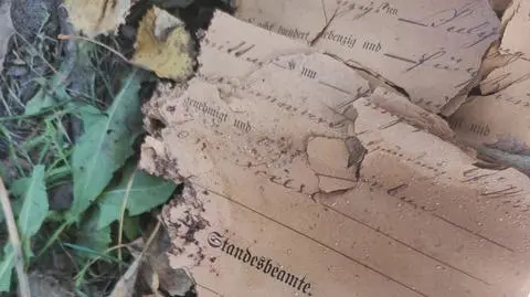 Pierwsze odkrycia archeologów na terenie dawnego gotyckiego ratusza w Braniewie