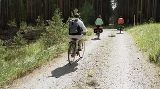 Droga do plaży prowadzi przez las i zajmuje około 40 minut