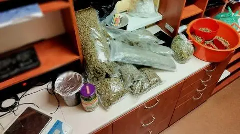 Pseudokibice zatrzymani za handel narkotykami. Grozi im do 12 lat więzienia