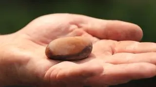 Kamień mógł pełnić funkcję amuletu 