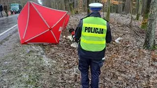 Kierowca motoroweru zginął na miejscu