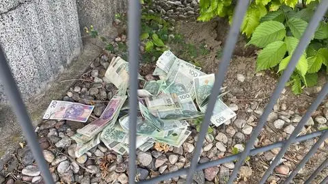 Uciekając przed policją, wyrzucił w krzaki 10 tysięcy złotych