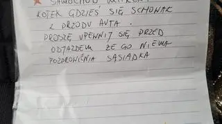 "Uwaga, pana samochód miałczy!"