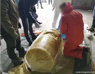 Pulpy ananasowe były całkowicie zamrożone