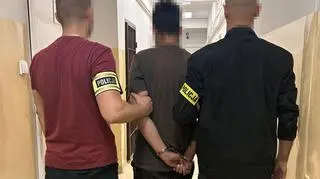 Przejechał psa na oczach właściciela. Mężczyzna usłyszał zarzuty