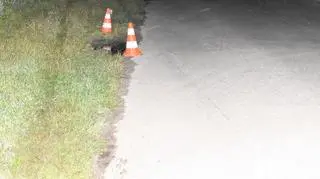 Kierowca był pijany, jechał z dużą prędkością. Zginął 13-letni chłopiec