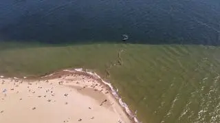 Plażowicze stworzyli "łańcuch życia" na Helu