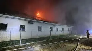 Mydlita. Ogromny pożar chlewni