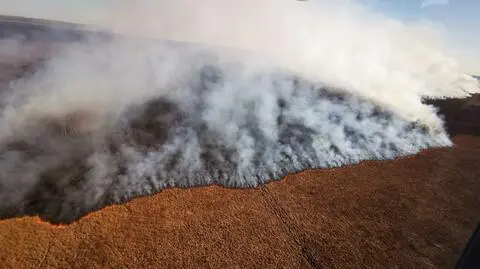 Policjanci wspierają strażaków w walce z ogniem w Biebrzańskim Parku Narodowym