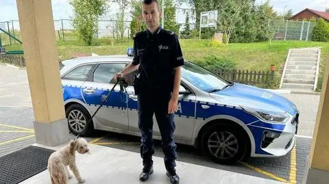 Zostawiła psa w nagrzanym samochodzie i poszła plażować. Psa uratowali policjanci