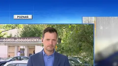 rajd nastolatków 2