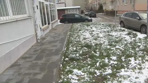 Wracała z zakupów, zaatakował ją dzik