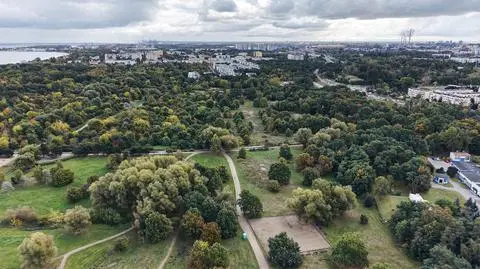 Park Reagana w Gdańsku