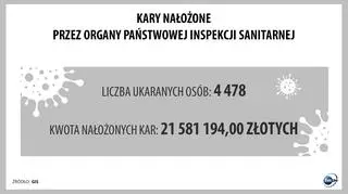 Kary nałożone przez organy Państwowej Inspekcji Sanitarnej