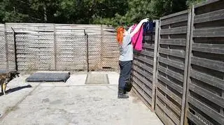 Wolontariusze zamieszkali w schronisku