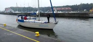 Załoga jachtu M/S Sylviana zauważyła w kanale w Łebie wyczerpanego wilka