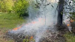Policjanci zauważyli dym i ogień na skraju lasu