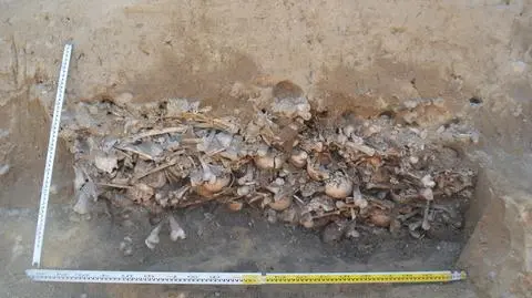 Dawno mieszkańcy Luzina kultywowali praktyki "antywampiryczne". Archeolodzy dokonali odkrycia na wielką skalę