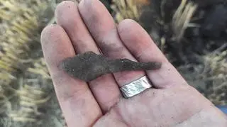 Wszystko wskazuje na to, że najnowsze odkrycie archeologów pomoże w wyodrębnieniu terenu, na którym w 1331 r. toczyła się średniowieczna bitwa pod Płowcami. 