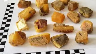 Największa z nieobrobionych brył bursztynu ważyła prawie pół kilograma