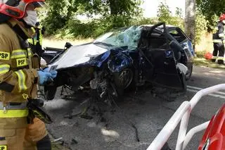 Kierowca uderzył w drzewo