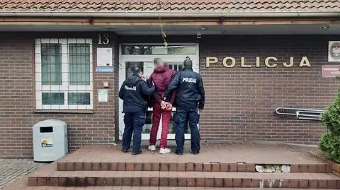 Najpierw ukradli rowery, a później samochód. Rozbity pojazd porzucili w parku narodowym