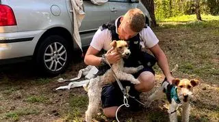 Psami zaopiekowała się rodzina interweniującego policjanta