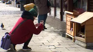 Turyści przyjeżdżają do kota z kraju i ze świata