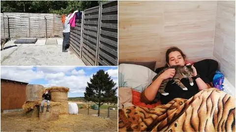 "Wyprowadzili się z domów i zamieszkali ze zwierzętami". Schroniska w czasie epidemii COVID-19