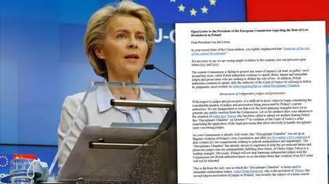 Scholars urge EU Commission chief to take firm action regarding rule of law in Poland