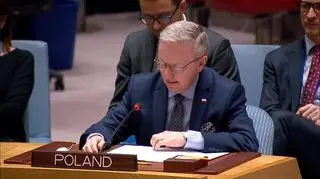 Poland's Permanent Representative to the United Nations Krzysztof Szczerski